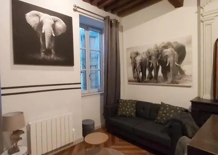 Apartment Le Loft 36 *